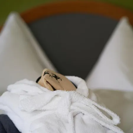 Hotel Soldanella By Adula Flims