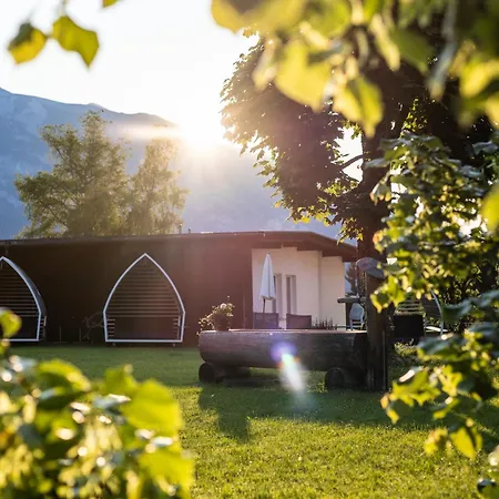 Soldanella By Adula Flims