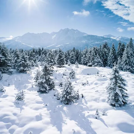 Hotel Soldanella By Adula