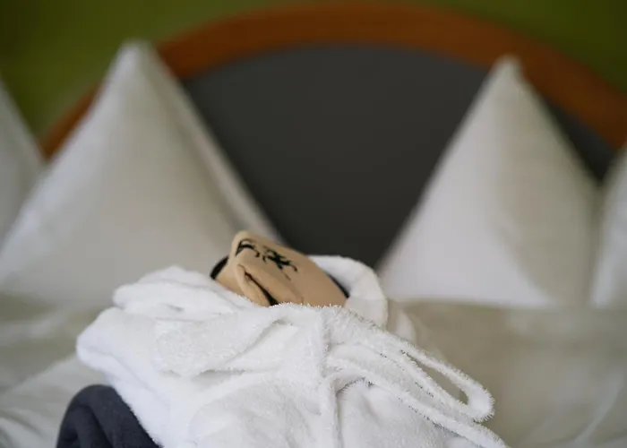 Hotel Soldanella By Adula Flims