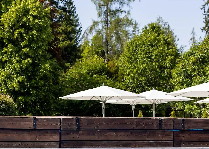 Hotel Soldanella By Adula Flims