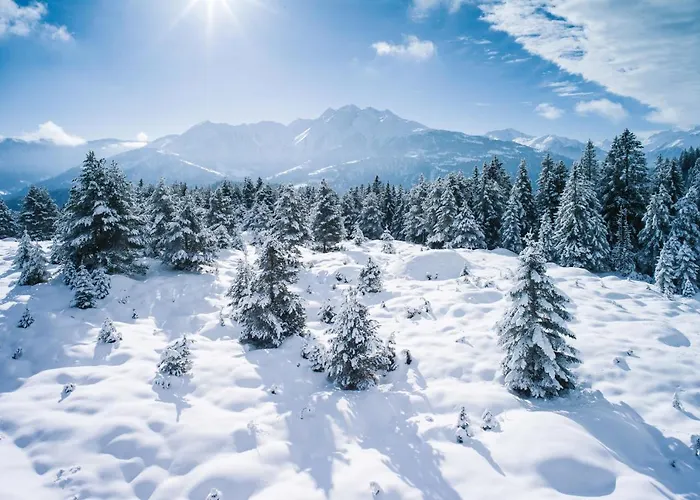 Hotel Soldanella By Adula